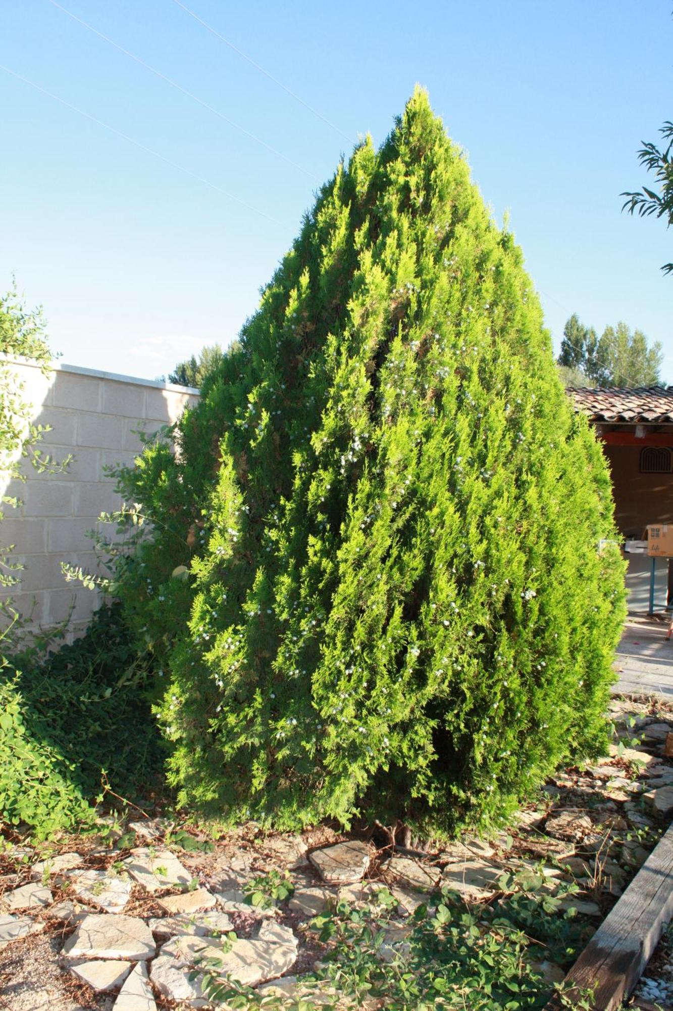 Loft La Buena Vida Διαμέρισμα Penaranda de Duero Εξωτερικό φωτογραφία